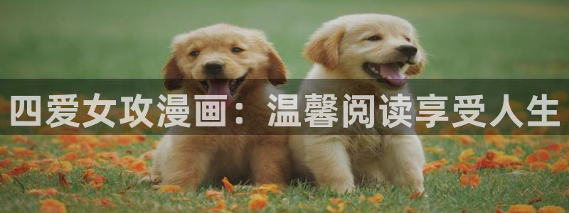 韩漫免费阅读漫画网站：四爱女攻漫画：温馨阅读享受人生
