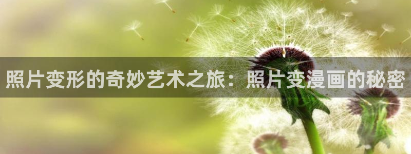 漫画韩漫免费：照片变形的奇妙艺术之旅：照片变漫画的秘密