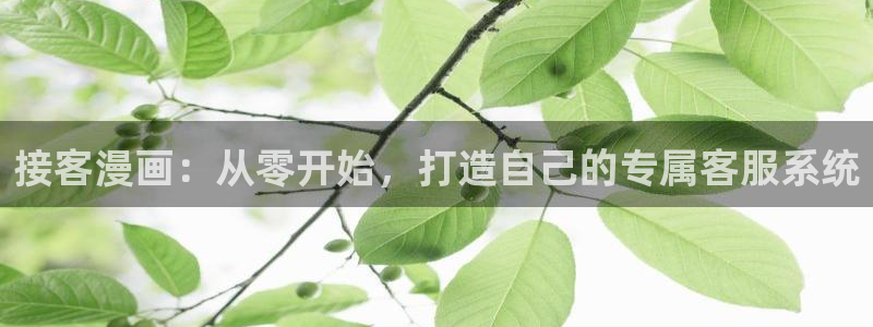 韩漫网站动漫无删减：接客漫画：从零开始，打造自己的专属客服系统