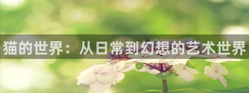 漫画免费韩漫无删减：猫的世界：从日常到幻想的艺术世界