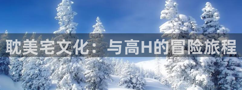 漫蛙韩漫软件怎么下载：耽美宅文化：与高H的冒险旅程